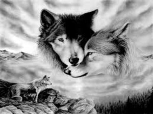 spirit-wolves-wolf-lovers-place-32285086-1335-1000