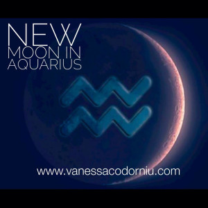 vanessa codorniu new moon